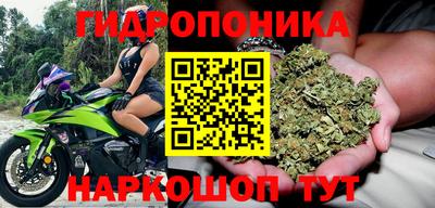 твердый Будённовск