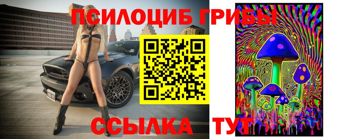 Псилоцибиновые грибы мицелий Ялуторовск